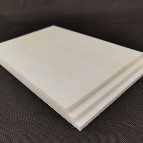 CFRT輕量化複合(hé)闆